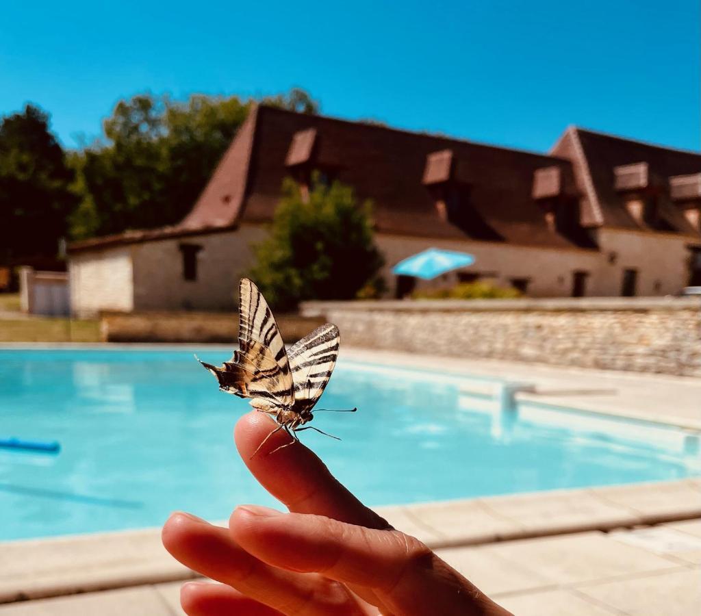 Gite Le Domaine De Camberoux Saint-Marcel-du-Périgord Esterno foto